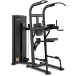 Insight Fitness Easy Chin/Dip