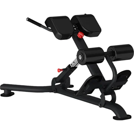 Insight Fitness DR010B Back Extension