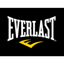 Everlast logo1