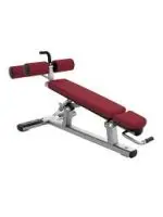 Life Fitness Signature Adjustable Abdominal Bench | Platinum - Cranberry