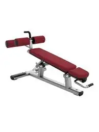 Life Fitness Signature Adjustable Abdominal Bench | Platinum - Cranberry