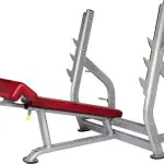 BH Fitness Decline Bench L855