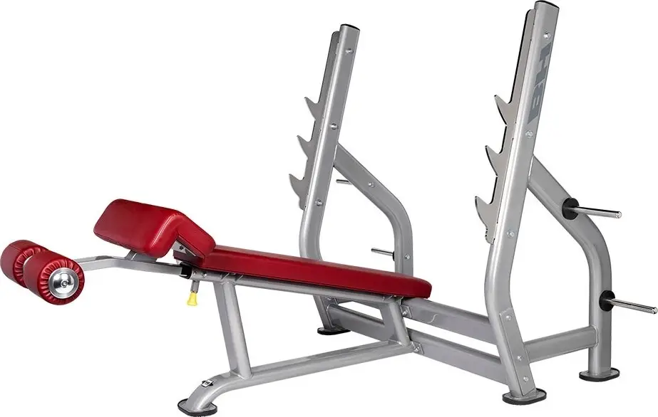 BH Fitness Decline Bench L855