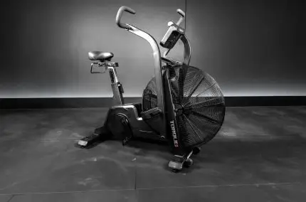 Stealth Air Bike – Torque