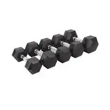 Gainmotion Hex Rubber Dumbbells Pair (Black)