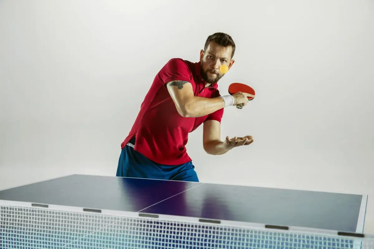 table tennis table