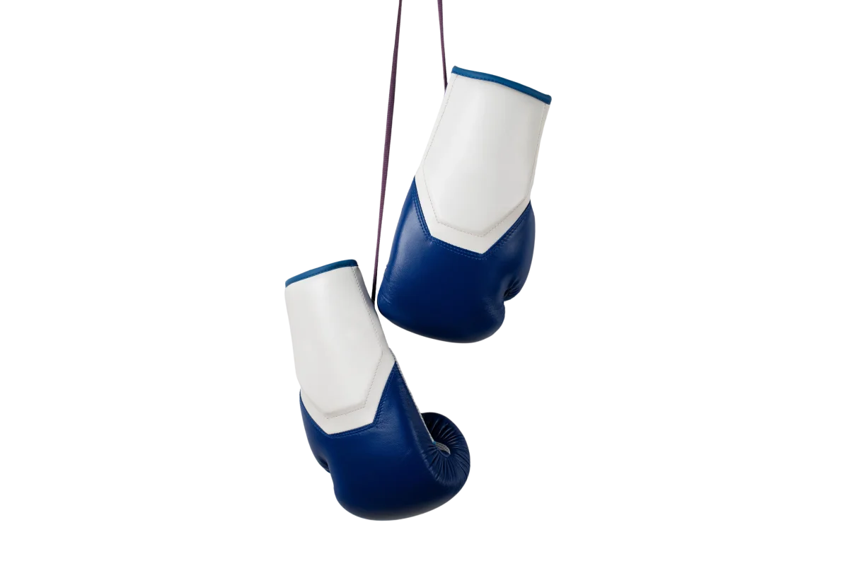 Boxing gloves