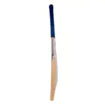 Reebok Cricket Bat (MasterBlaster) - Kashmir Willow