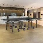 Iconic 3000 DX Table Tennis Table | High-Performance Play - Image 5