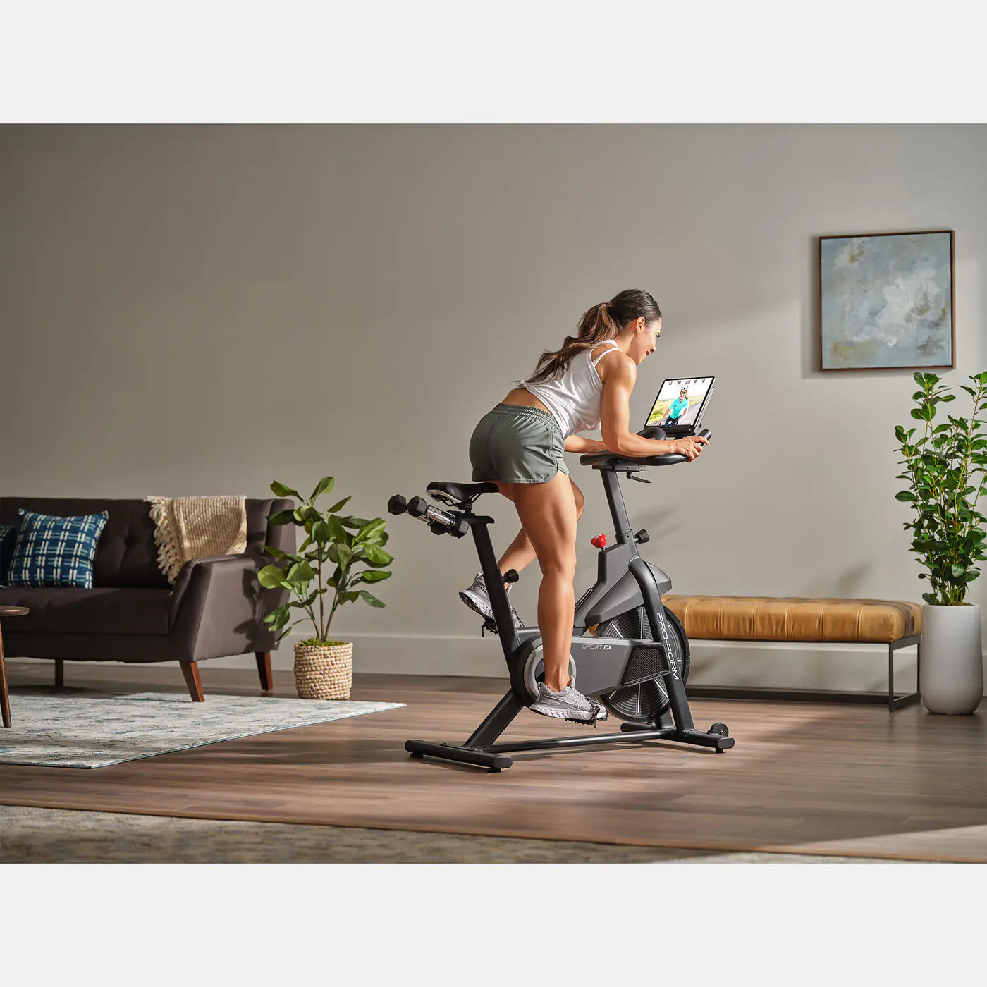 ProForm Sport CX Exercise Bike PFEX40122-INT